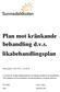 Plan mot kränkande behandling d.v.s. likabehandlingsplan