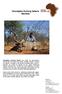 Ozondjahe Hunting Safaris Namibia