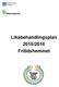 Likabehandlingsplan 2015/2016 Fritidshemmet