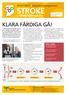 NYHETSBREV Genombrottsprogrammet STROKE. Nr 1 hösten 2010 rädda hjärnan.nu