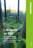 I skuggan av FSC. Hur miljöcertifierade skogsbolag avverkar svenska skogar med höga bevarandevärden. Nordic