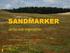 SANDMARKER. Arter och vegetation. Gabrielle Rosquist, Länsstyrelsen i Skåne