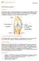 Artroskopi knäled. Anatomi. Varför artroskoperar man knäleden? Meniskskada. Symptom 2015-08-10/JF