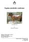 Equine metabolic syndrome