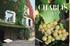CHABLIS. resa: 50 konstvärlden konstvärlden 51