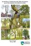 Inventering av skyddsvärda träd i Härryda kommun - grova träd, hamlade träd, hålträd och alléer -
