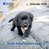 Kalender 2014. Årets ledarhundsvalpar