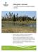 Mångfald i våtmark. metodik för inventering av biologisk mångfald i våtmarker. Rapport 2010:3