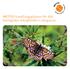 METSO handlingsplanen för den biologiska mångfalden i skogarna