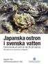 Japanska ostron i svenska vatten