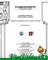 EXAMENSARBETE BACHELOR S THESIS