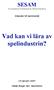Vad kan vi lära av spelindustrin?