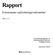 Rapport. Kommunens exploateringsverksamhet 2005-12-12. Genomförd på uppdrag av de förtroendevalda revisorerna i Finspångs kommun. Anna-Karin Löfsved