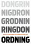 Dongrin nigdron. ringdon. konsten att skapa ordning. ssg standard solutions group.