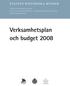 Verksamhetsplan och budget 2008
