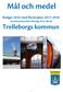 Mål och medel. Budget 2016 med flerårsplan 2017-2018 Kommunstyrelsen förslag 2015-06-03 Trelleborgs kommun
