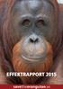 Bakgrund. Save the Orangutan jobbar för att säkra den utrotningshotade Borneo-orangutangen (Pongo pygmaeus) och dess regnskogshem på Borneo.