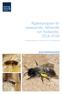 Åtgärdsprogram för batavsandbi, fältsandbi och flodsandbi, 2014 2018. (Andrena batava, A. morawitzi, och A. nycthemera)