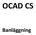 OCAD CS. Banläggning