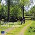 Kunskap ger effekt i skogen Skogsstyrelsens kompetensutvecklingsprojekt inom EU:s landsbygdsprogram