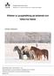 Effekter av grupphållning på beteende och hälsa hos hästar