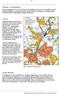 Bild 2.4: Karta över jordbruksmark