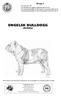 ENGELSK BULLDOGG. (Bulldog)