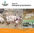 Jordbruksinformation 2-2013. Vägen till ekologisk grisproduktion