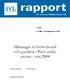 Mätningar av kvävedioxid och partiklar i Piteå under januari - maj 2004