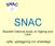 SNAC. Swedish National study on Ageing and Care. - syfte, uppläggning och arbetsläge