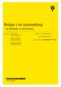 Budget i ett sammanhang