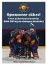 Sponsorer sökes! Satsa på hockeyns framtid. Stöd DIF-lag 04 säsongen 2014-2015. Maila: lag04@difhockey.se