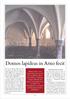 Domos lapideas in Arno fecit