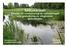 Säbybäcken. Förslag till restaurering av vattendraget och gestaltning av omgivande grönområde