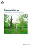 Trädportalen.se. Användarhandledning för rapportsystemet för skyddsvärda träd