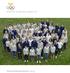 Omslagsfoto: Stora delar av truppen till OS i Sotji samlades på Lillsved för Olympic Camp. Foto: Henrik Montgomery, TT.