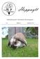 Hoppnytt. Klubbtidning för Värmlands Kaninhoppare. Nr 3 Årgång 19 September 2013