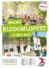 BLODOMLOPPET MALMÖ 15 MAJ 2012. www.blodomloppet.se