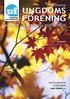 UNGDOMS FÖRENING FINLANDS SVENSKA UNGDOMSFÖRBUND 3/2009. tema: förening UF 3/2009. SCENKRAFT i Väståboland 9-11.10...11