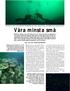 Hela havet är fyllt av mikroorganismer. Encelliga alger ger vattnet dess gröna färg och disigheten, som begränsar sikten.