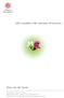 ABC-modellen: från meristem till blomma