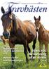 Avvänjning utan stress TEMA FÖL. Rapport från ASVT:s årsstämma. Nyheter inför auktionssäsongen. Sid 8. sid 20. Sid 37