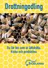 Drottningodling. Du får bin som är lättskötta, friska och produktiva.