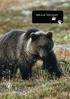 Tillsammans ska vi göra björnjakten säkrare Den svenska björnstammen växer. Antalet fällda björnar ökar och därmed tyvärr också skadskjutningarna.