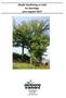 Okulär besiktning av träd kv Stenhöga juni-augusti 2013