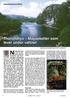 Thorichthys Mayaskatter som lever under vattnet Text och foto, där ej annat anges: Juan Miguel Artigas Azas, översättning: Mikael Westerlund