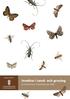 Rapport 2007:21 Insekter i sand- och grustag