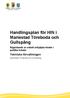 Handlingsplan för HIN i. Mariestad Töreboda och Gullspång