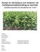 Analys av aminosyror och terpener vid metyljasmonatbehandling av barrträd