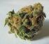 Utbildning om narkotika med inriktning på cannabis för fritidsledare 140409
